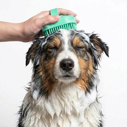 2-in-1 Premium Pet Bath Brush & Shampoo Dispenser